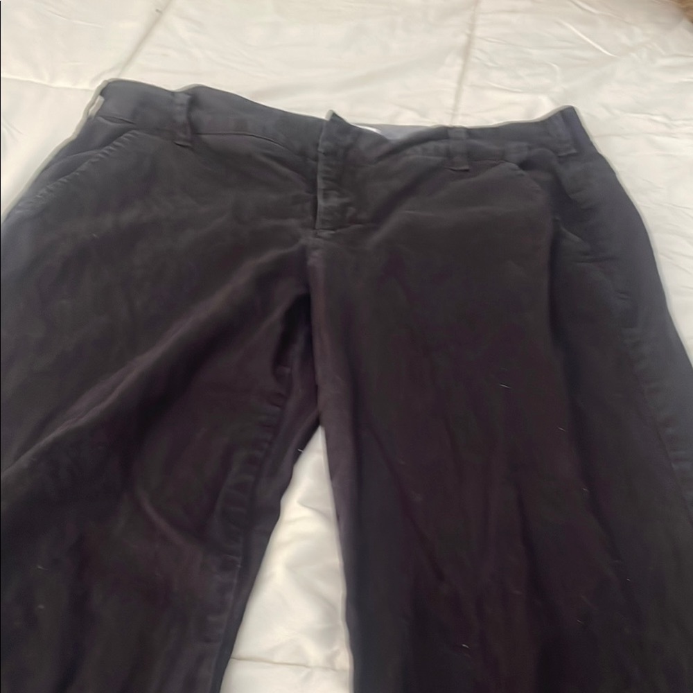 Classic Black Pants